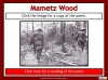 Mametz Wood Teaching Resources (slide 8/39)